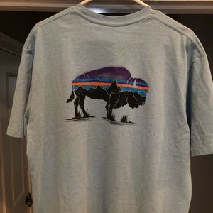 Patagonia Mens Fitz Roy Bison Shirt 